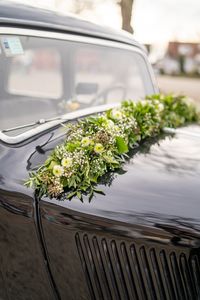 Hochzeit Fotografie Esslingen am Neckar